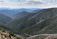 АВСТРАЛИЙСКИЕ АЛЬПЫ (вид на горы)