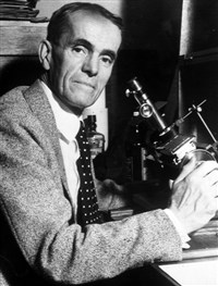 АДАМС Уолтер Сидни (в лаборатории)