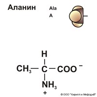 АЛАНИН