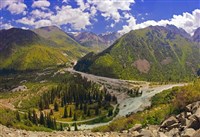 АЛА-АРЧА (вид)