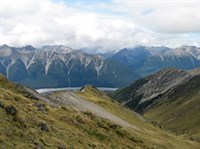 АЛЬПЫ (альпийский луг)