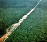 АМАЗОНСКАЯ НИЗМЕННОСТЬ (Трансамазонское шоссе)