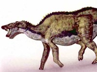 АНАТОТИТАН