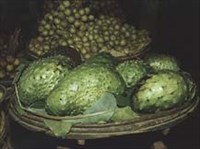 АННОНА (плоды)