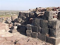 АРМАВИР (раскопки)