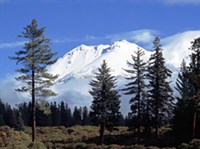 АЭРОИОНОТЕРАПИЯ (горы и лес)