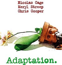 Адаптация (постер)