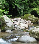 Аджария (горная река)