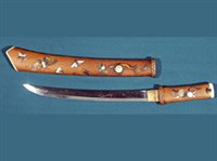 Аигути (сиябама)