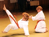 Айкидо (бросок) [спорт]