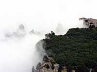 Ай-Петри (в тумане)