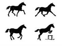 Аллюры (схема)