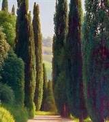 Алупка (Воронцовский дворец, аллея парка)