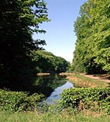 Алье (Тронсейский лес)