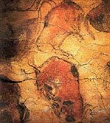 Альтамира (быки)