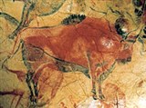 Альтамира (дикий бык)