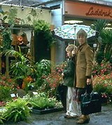 Амстердам (цветочный рынок)