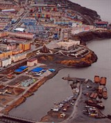 Анадырь (вид)