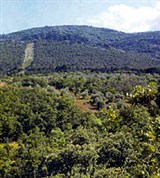 Андалусия (Сьерра-Морена)