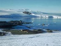 Антарктида (побережье летом)