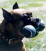 Апортировка (не отдам)