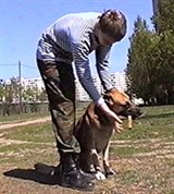 Апортировка (предмет взят)