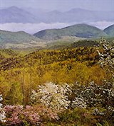 Аппалачи (Голубой хребет)