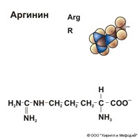 Аргинин