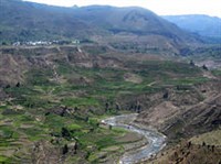 Арекипа (Колка)