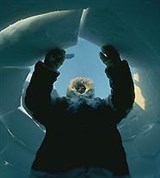 Арктика (ледяная хижина)