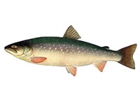 Арктический голец