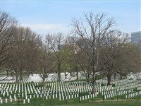 Арлингтонское национальное кладбище (2013)