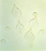 Арп Ганс (Листья и капли, 1)