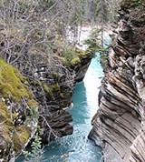 Атабаска (Джаспер-парк)