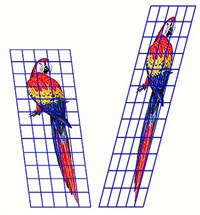 Аффинное преобразование (схема)