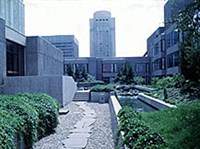 Аффлек Раймонд (сад)