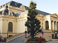 БАДЕН (казино)