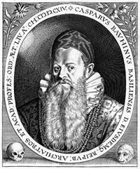 БАУГИН (Каспар Баугин)