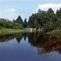 БЕЛОРУССИЯ (Березинский заповедник)