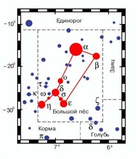 БОЛЬШОЙ ПЕС