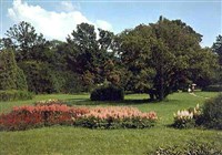 БОТАНИЧЕСКИЙ САД (главный ботанический сад РАН)