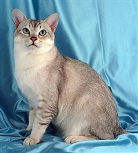 БУРМИЛЛА (кремовая)