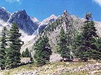 Байкальский заповедник (хребет Хамар-Дабан)