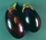 Баклажан (2)