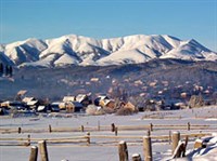 Бакуриани (курортный городок)