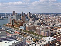 Балтимор (вид)