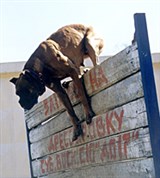 Барьер (барьер взят)