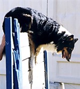 Барьер (с помощью)