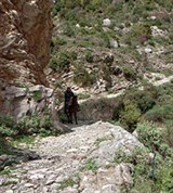 Бар (горная тропа)