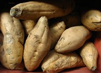 Батат (клубни)